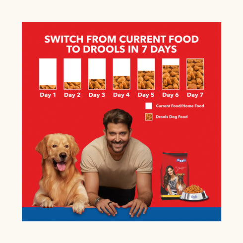 Drools Chicken and Egg Adult Dog Dry Food